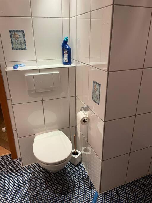 Apartment Im Pfaelzerwald Lambrecht  Exteriör bild